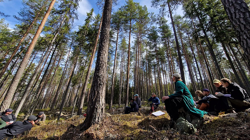 Ett flertal personer sitter på marken i en skog och tittar upp mot träden. Fotot är taget med vidvinkelperspektiv och ger en tydlig höjdkänsla med de avsmalnande träden.