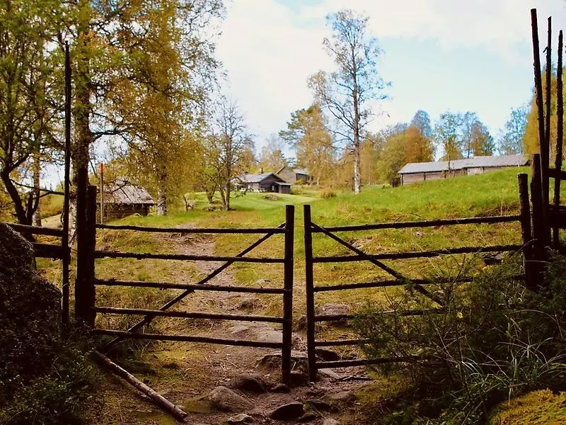 En gärdesgård och en grön åker.