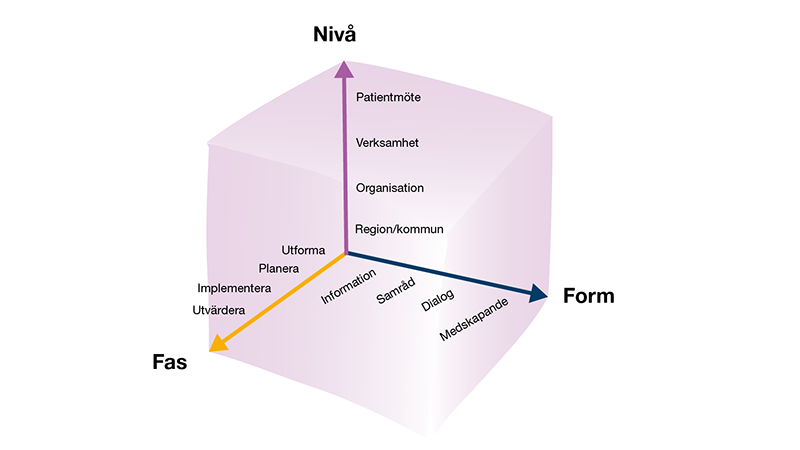 Figur med texten: Nvå: Region/kommun, organisation, verksamhet, patientmöte. Form: Information, samråd, dialog, medskapande. Fas: Utforma, planera, implementera, utvärdera. 