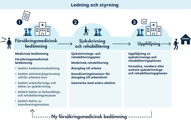 Hälso- och sjukvårdens process för sjukskrivning och rehabilitering