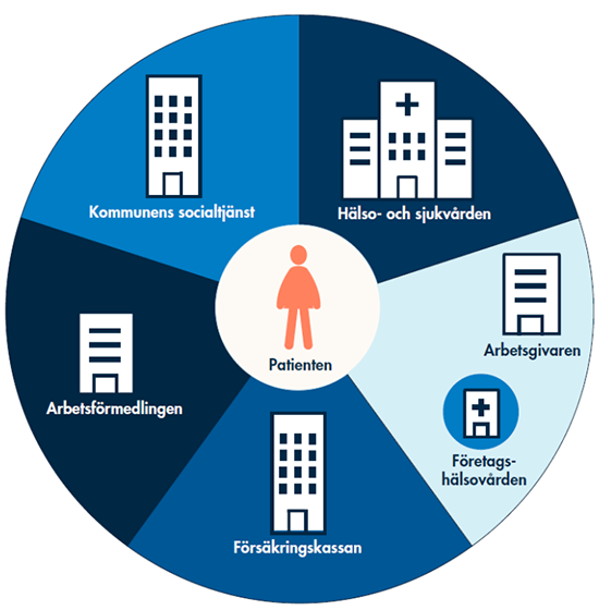 Bild som beskriver olika aktörer med olika ansvarsområden inom försäkringsmedicin. 