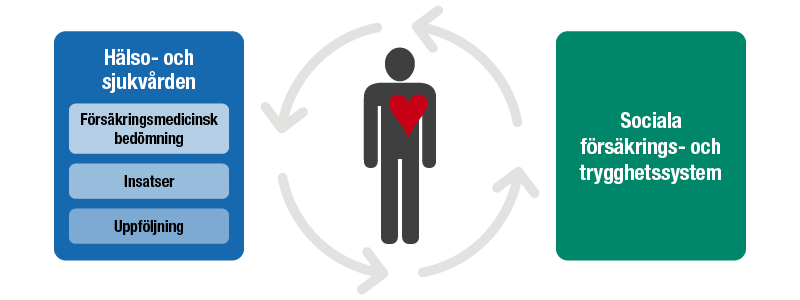Bild som beskriver det försäkringsmedicinska arbetet