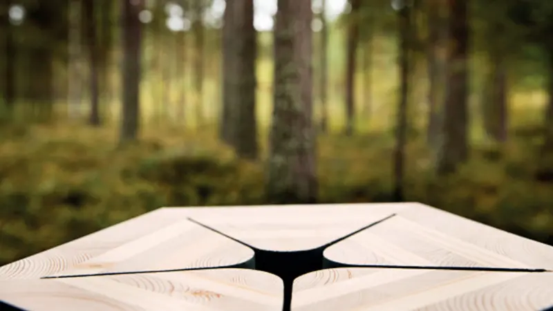 Bearbetat träobjekt placerat i en skog