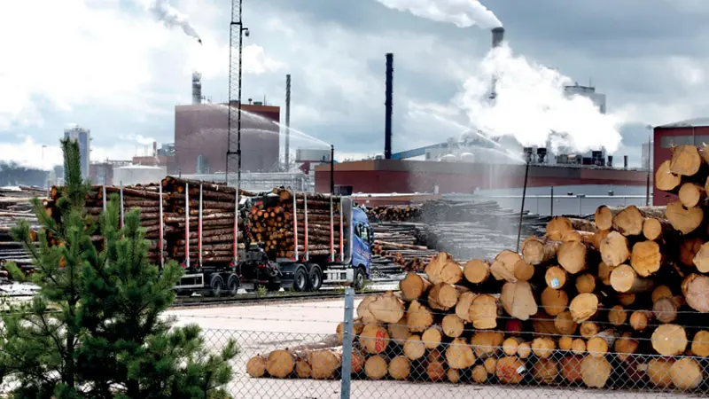 Vy över ett virkeslager med en fabrik i bakgrunden
