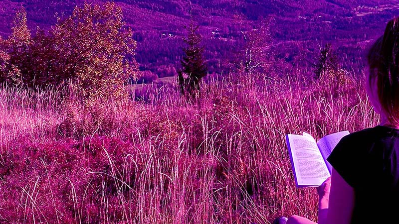 Vacker vy  och någon sitter och läser 