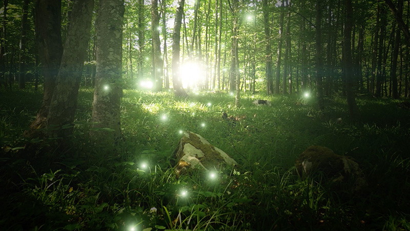 En grön magisk skog med ljusglimtar. 