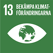 Globala mål 13: Bekämpa klimatförändringarna. 