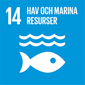 Globala mål 14: Hav och marina resurser.