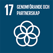 Globala mål 17: Genomförande och partnerskap.