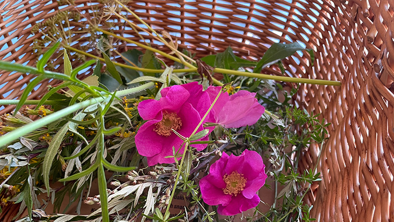 Rosa blommor och gröna blad i en korg
