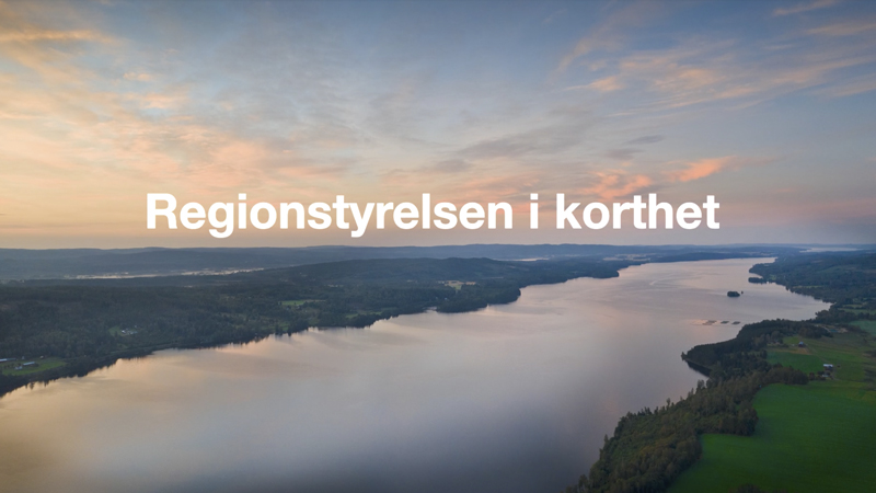 Genrebild för att illustrera regionstyrelsen i korthet.