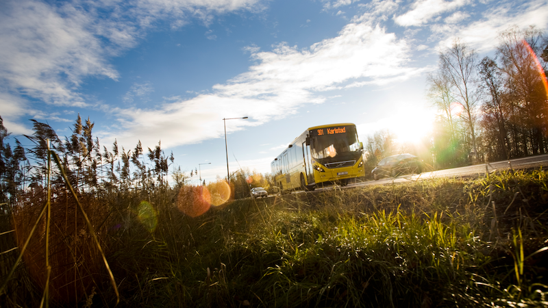 Buss fotad från marken. 
