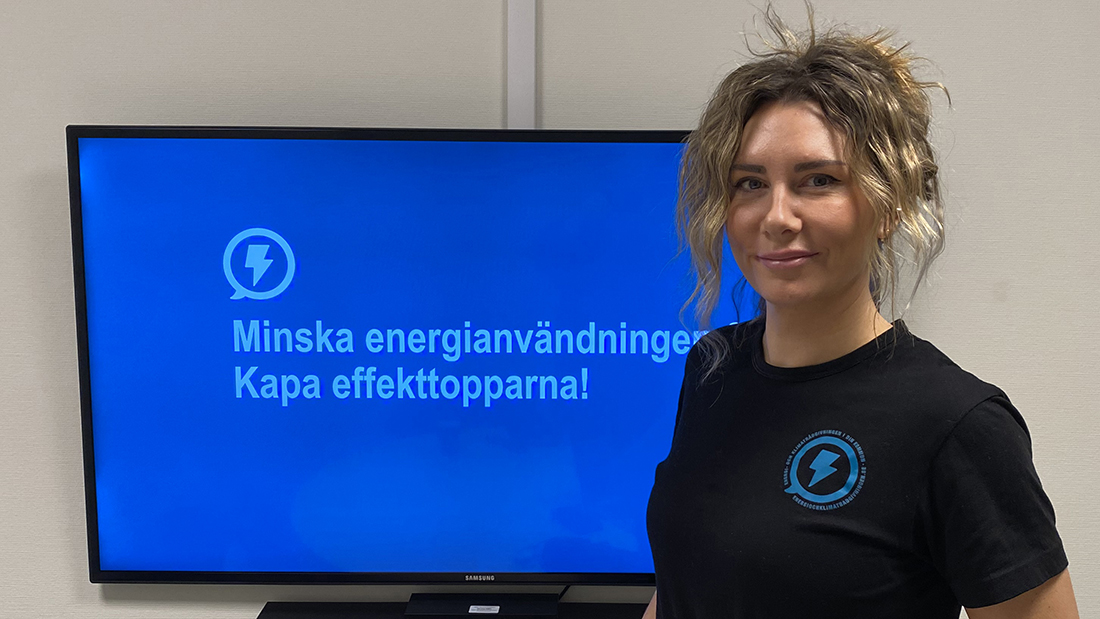 Så kan du minska dina elkostnader