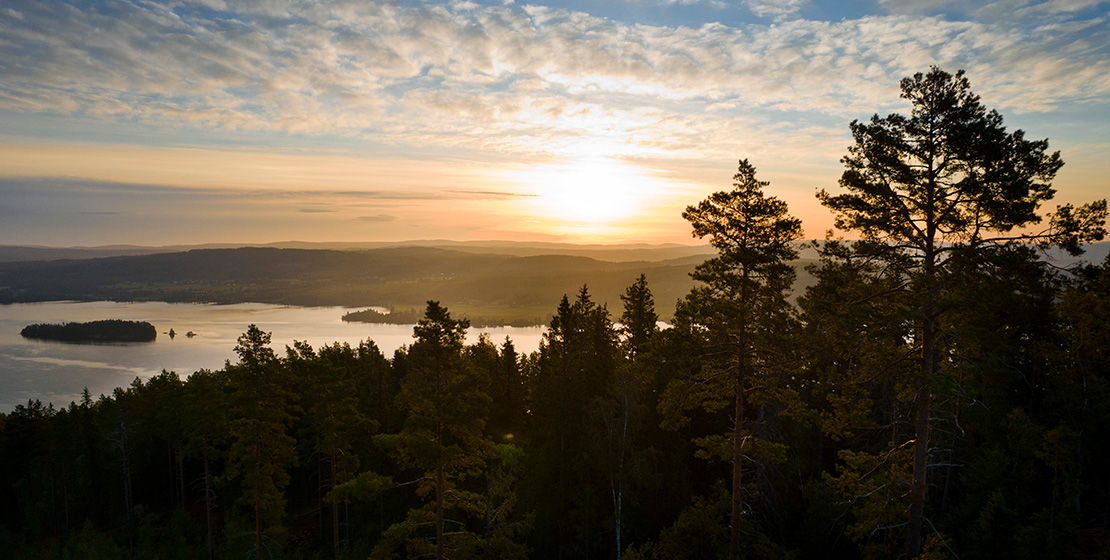 Rapportmall bild