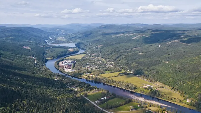 Uppföljning av regionala företagsstöd 2024