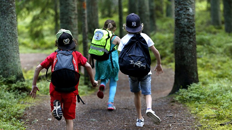 Barn springer i skogen.
