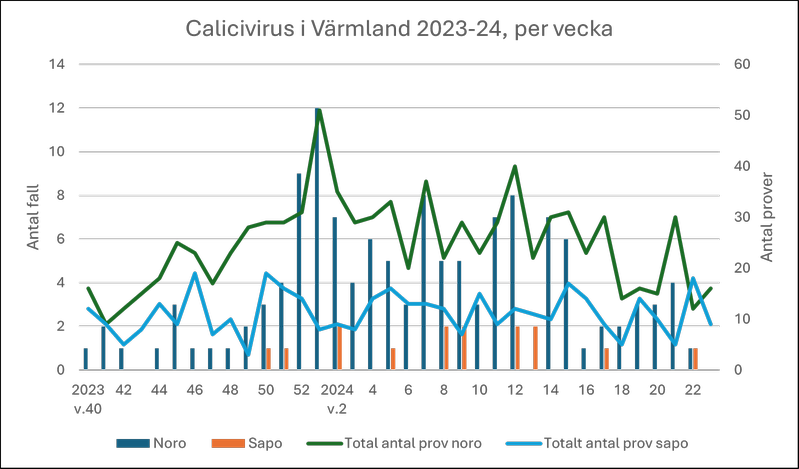 Diagram över antal fall av calici (vinterkräksjuka) i Värmland under säsongen 2023-2024.