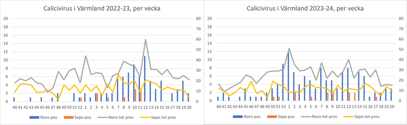 Diagram över antal fall av calici (vinterkräksjuka) i Värmland under säsongen 2022-2023 i jämförelse med säsongen 2023-2024.