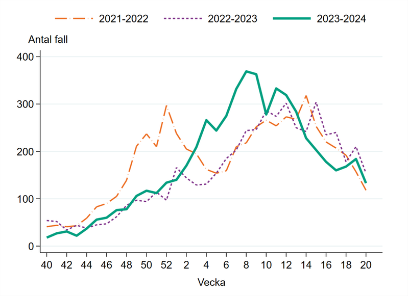 Antal laboratoriebekräftade fall av calicivirus (noro- och sapovirus) säsong 2021-2022, 2022-2023 samt fram till aktuellt rapportvecka säsong 2023-2024.