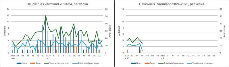 Diagram över antal fall av calici (vinterkräksjuka) i Värmland under säsongen 2023-2024 i jämförelse med säsongen 2024-2025.