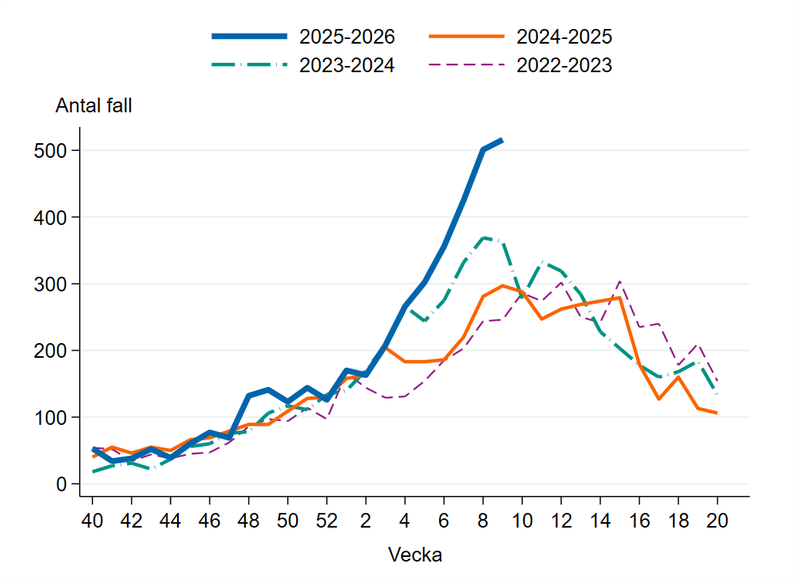 Fall av calicivirus i Sverige säsongen 2022-23, 2023-24, 2024-25 och 2025-26