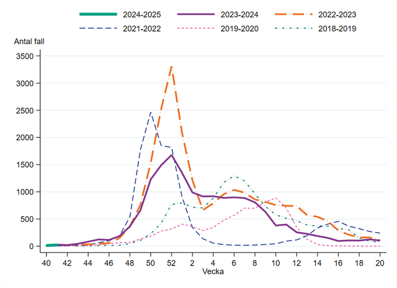 Antal laboratorieverifierade influensafall (alla typer) per vecka, denna säsong och tidigare säsonger i Sverige (Folkhälsomyndigheten)