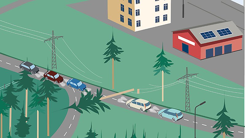 Ett träd har lagt sig över en ledning och vägen. Bilar syns efter vägen.